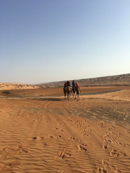 camel safari