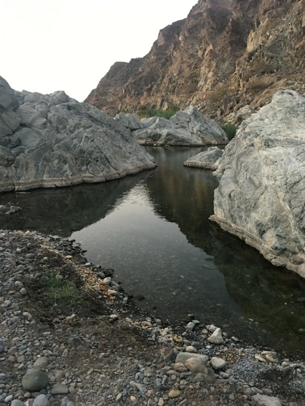 wadi khawd